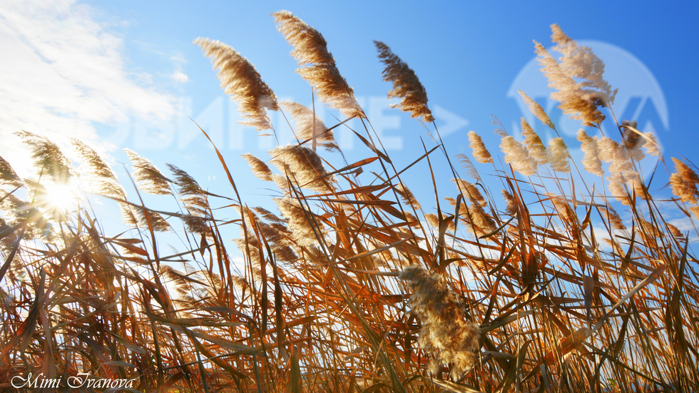 В слънчевия февруарски ден