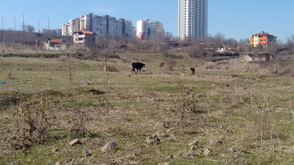 Небостъргач в Бургас