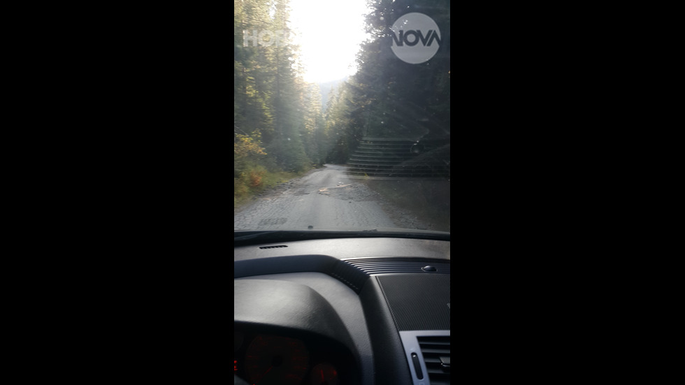 Занемарени пътища