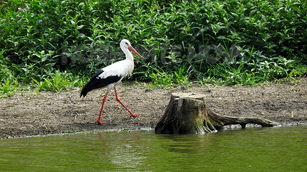 Разходка край красив язовир