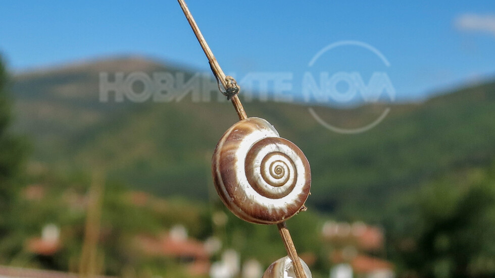 Една необикновена гледка...