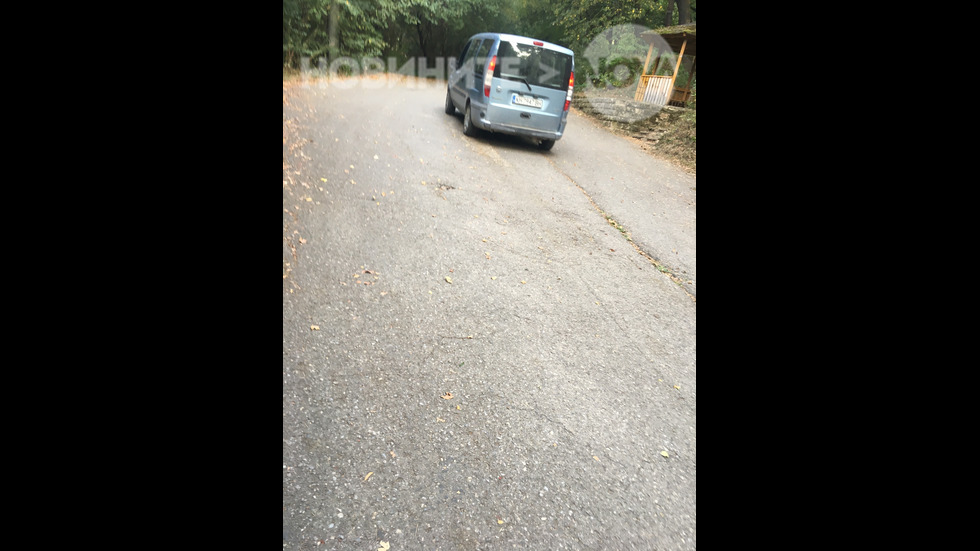 Паркиране на пешеходна алея