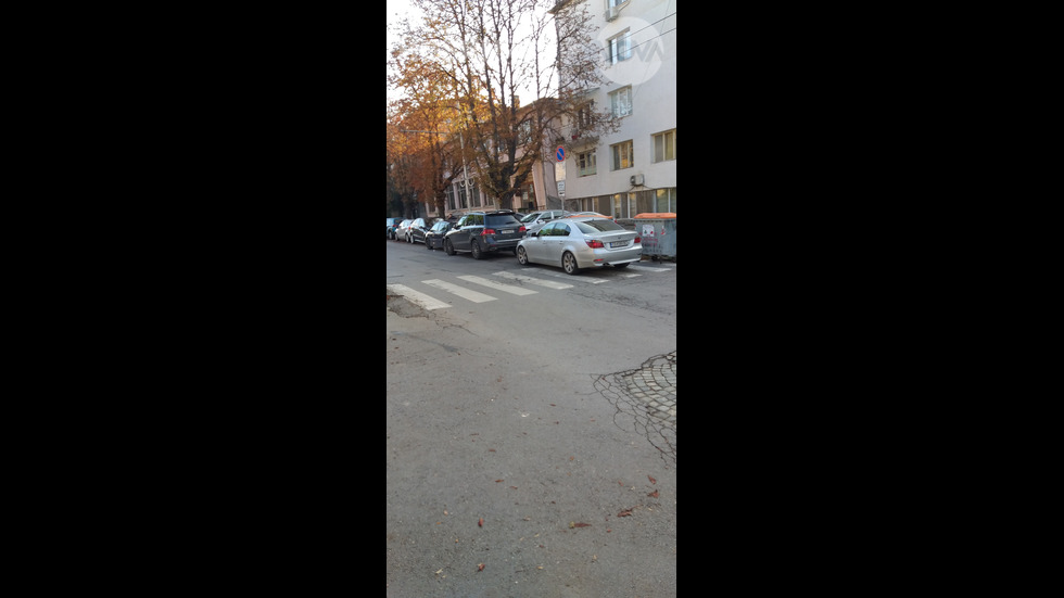 Пешеходна пътека