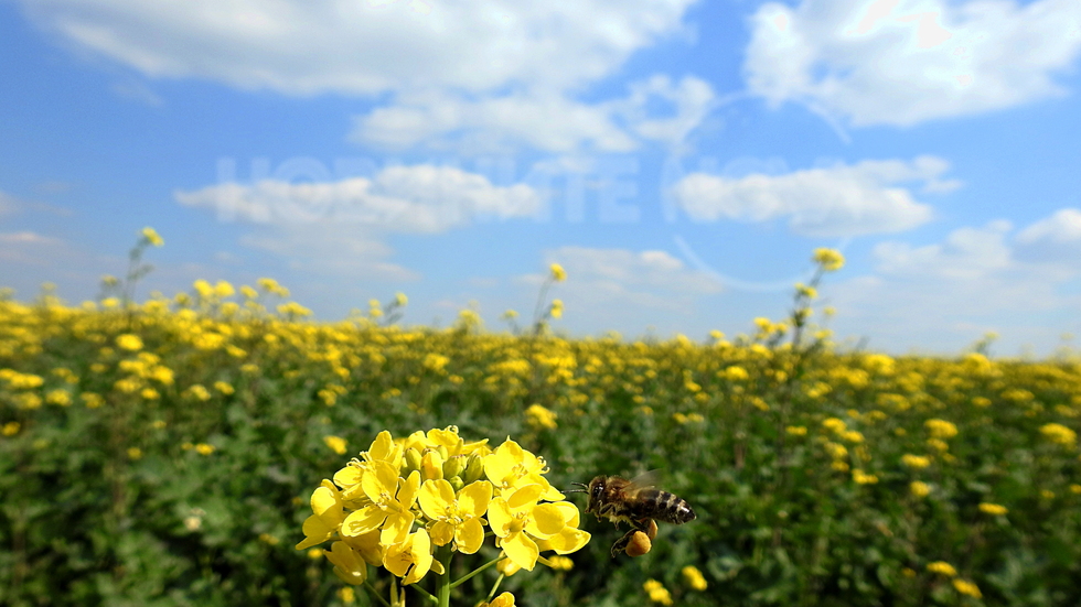 Здравей, април!