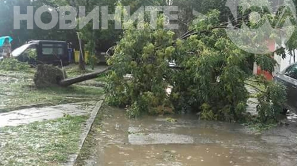 Градушка падна и в Панагюрище. Стихията изкорени дървета.