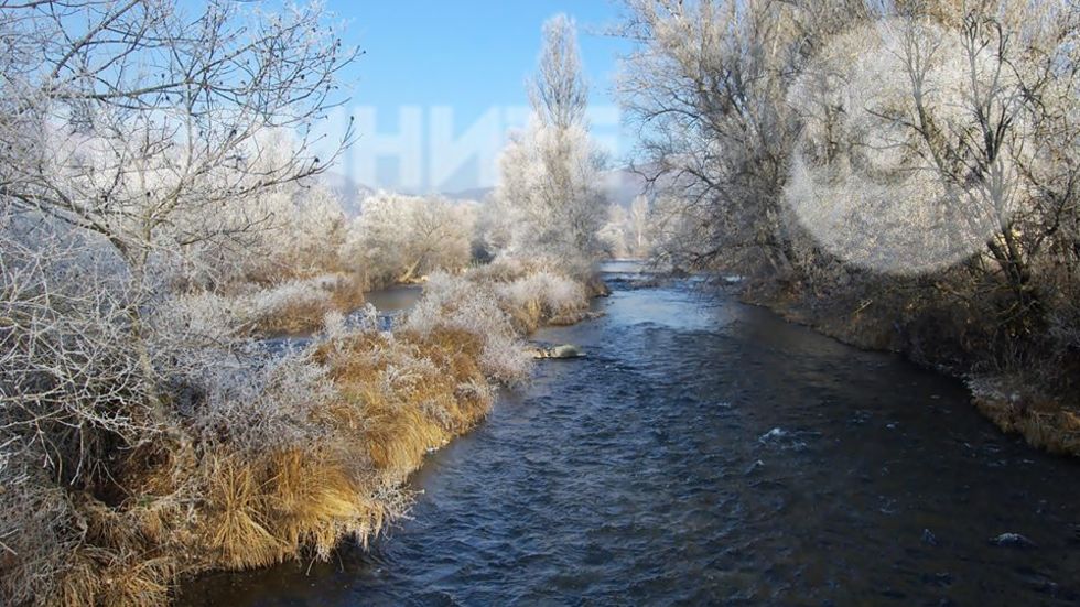 Вълшебен миг от едно заскрежено утро