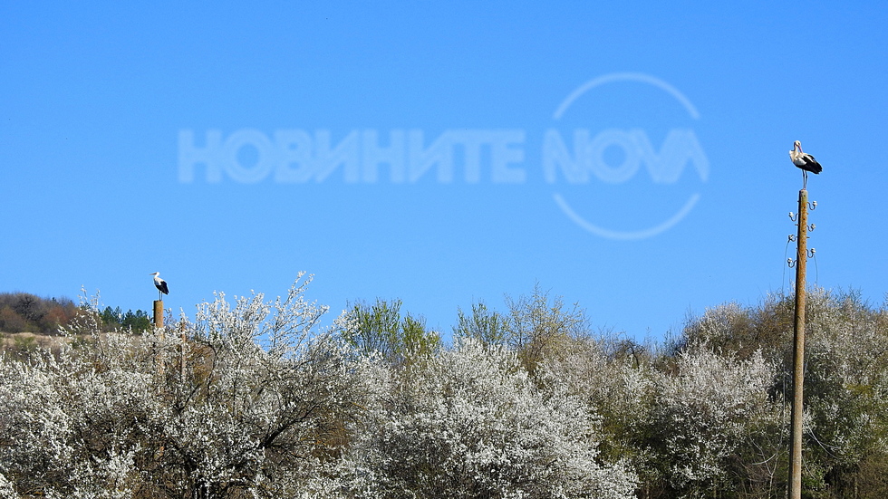 Невероятно красива пролетна гледка!