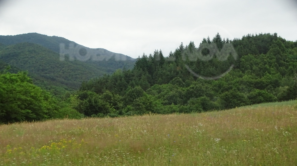 Лято в Предбалкана!