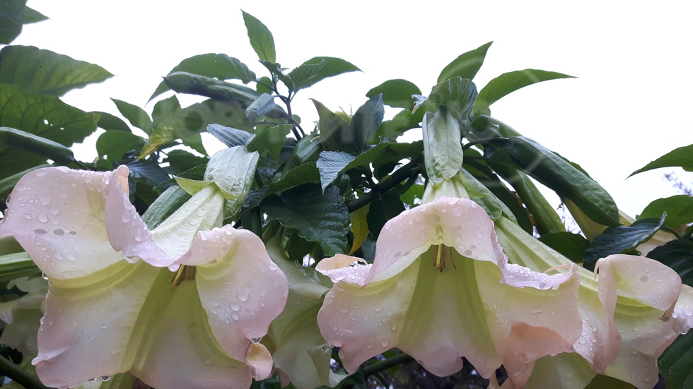 Какво от това, че идва зима...