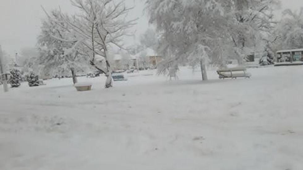 38 см сняг в ломското село Мокреш!