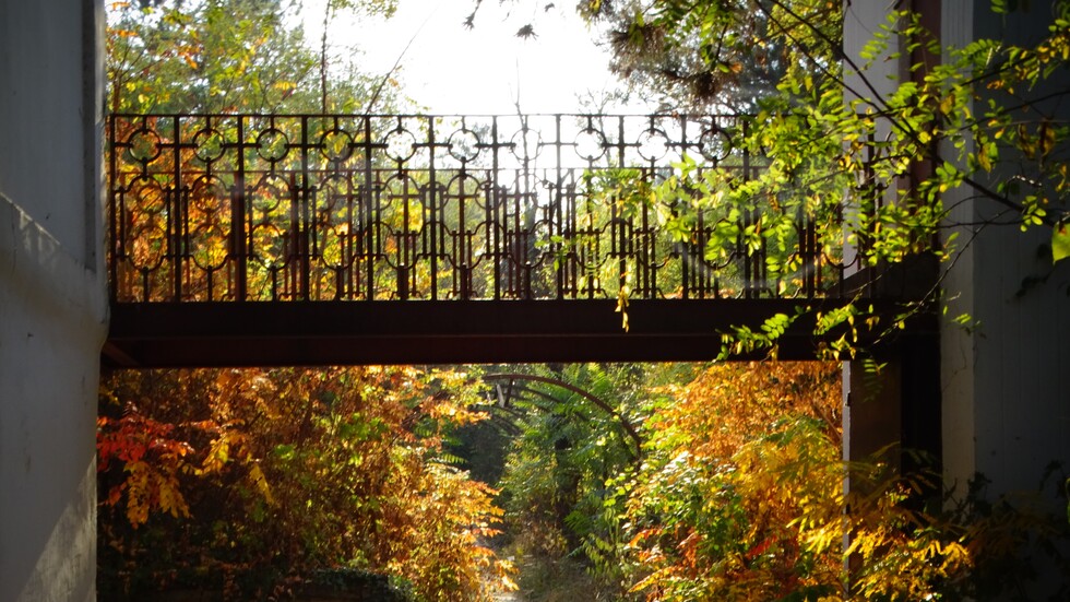 Да се радваме на слънчевата и красива есен!
