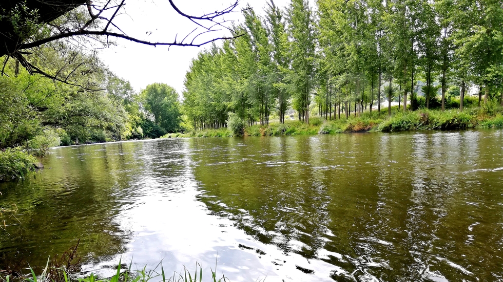 Край река Искър  - Зверино