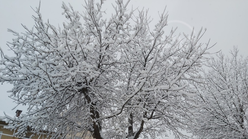 Красивата страна на снеговалежа ❄