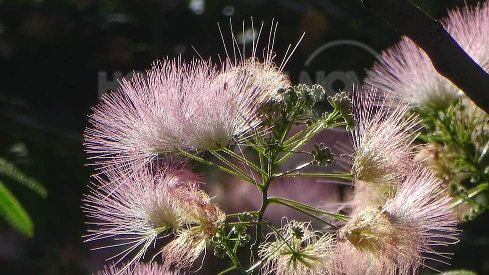 Греят в слънчевият ден!