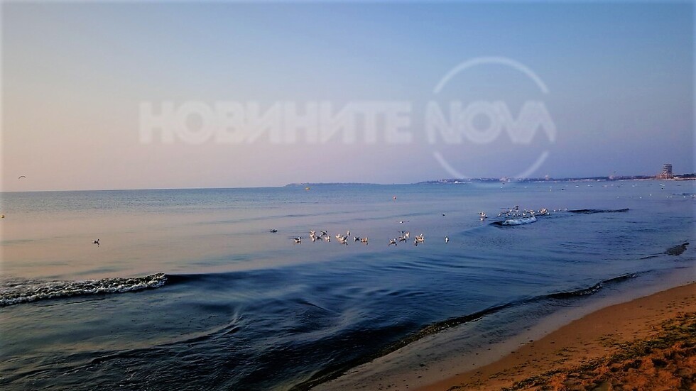 От морския бряг!