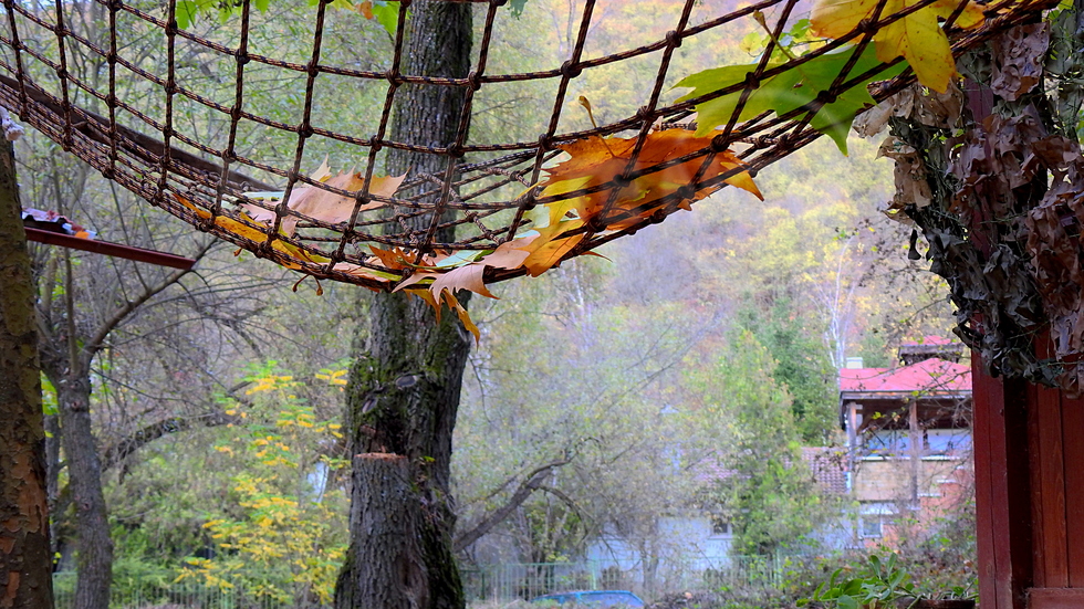 Здравей, Ноември!