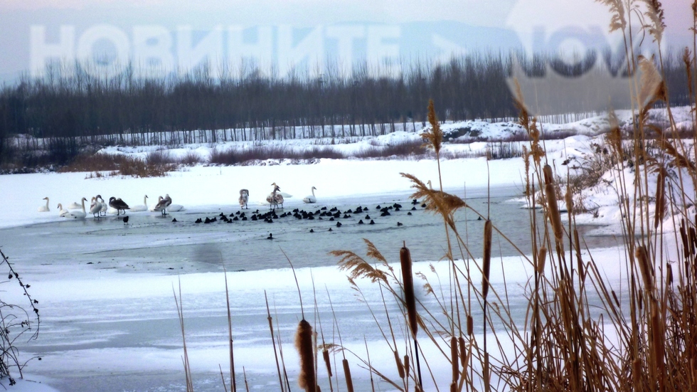 Зима край река Тополница