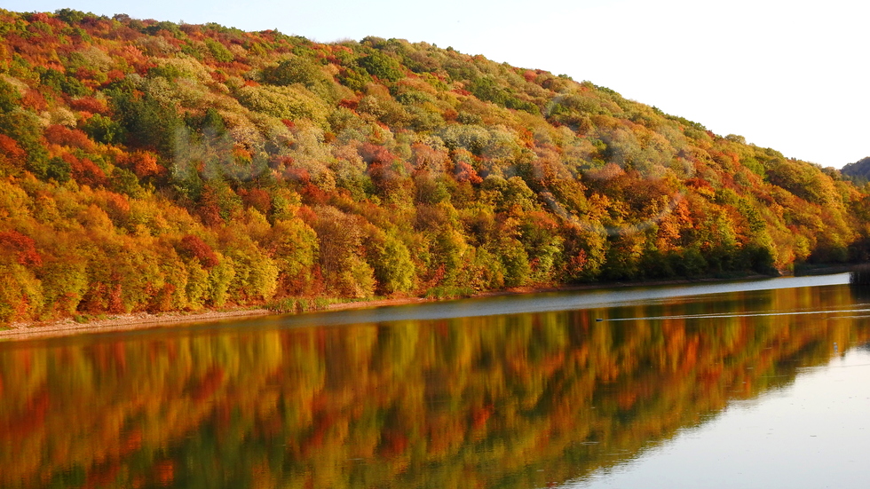 Есенна палитра!