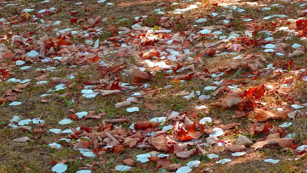 По съпките на есента!