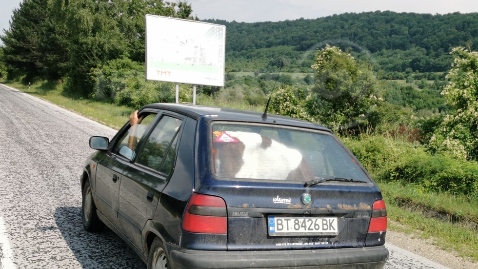 Превоз на теле в България