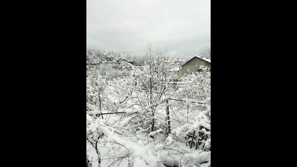 Зимен пейзаж в Белово