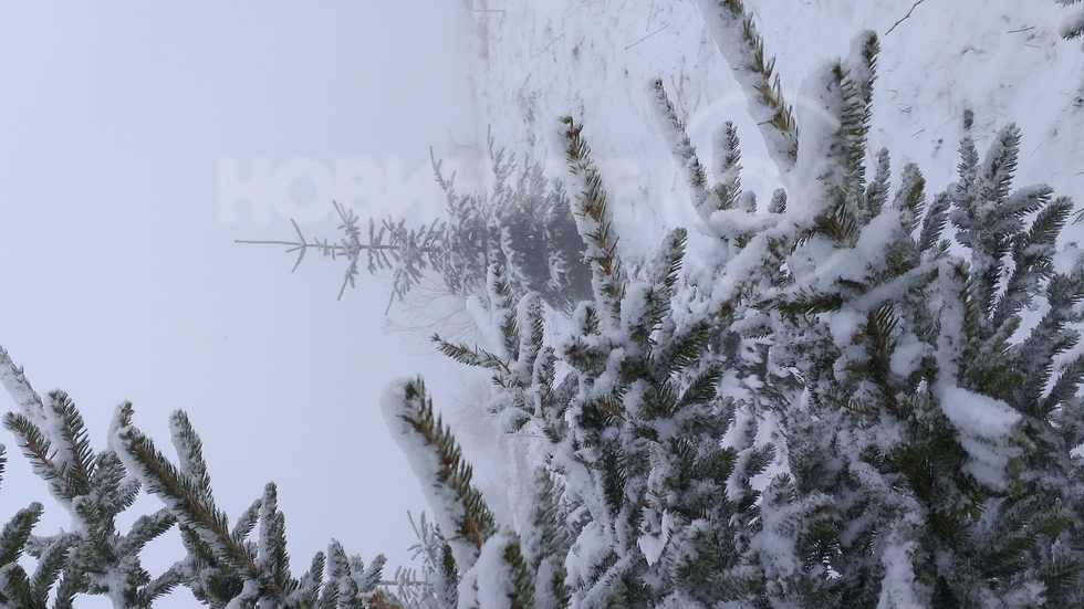 Сняг на Власинското езеро