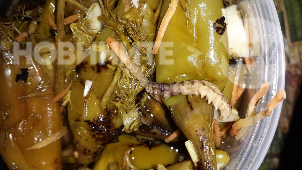 Туршия с гъсеница