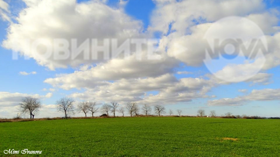 Природата е все по-цветна и красива