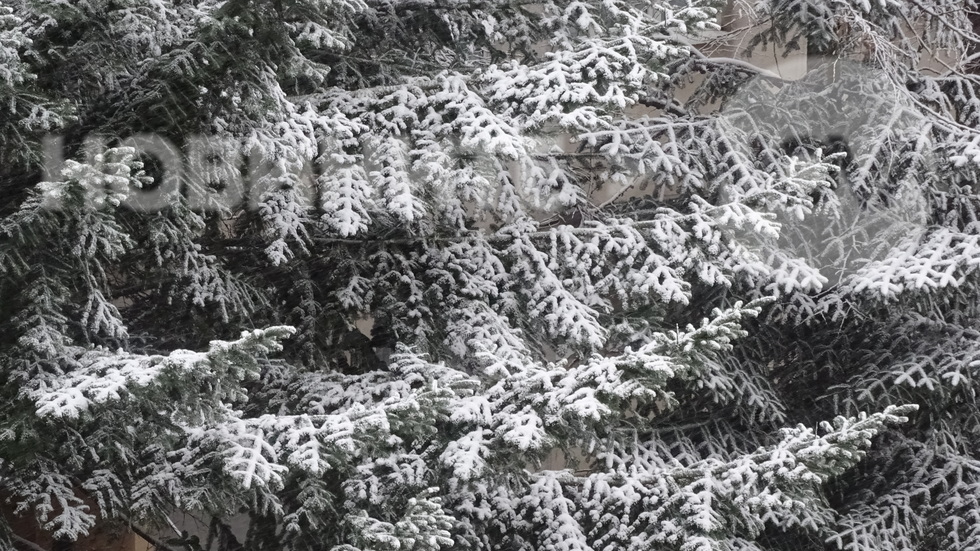 Отново снежно в Централна и Северна България!