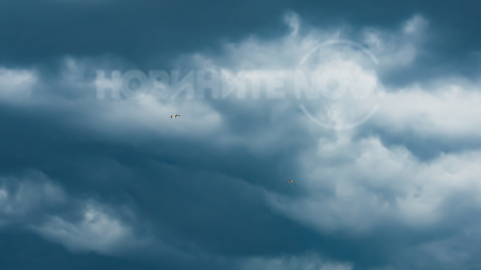 Птиците и бурята