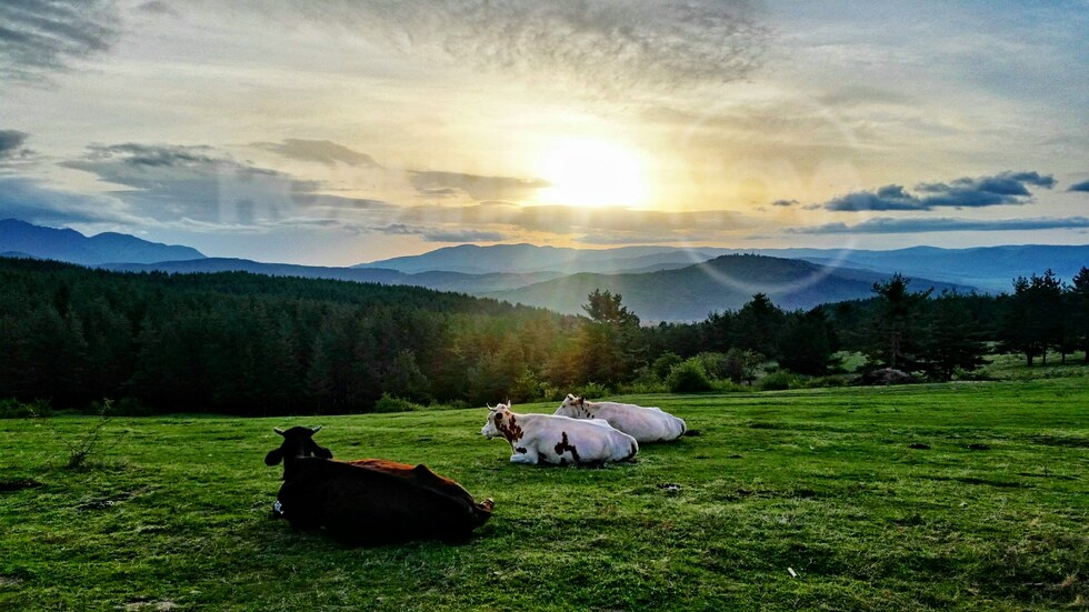 Изгрев над Велинград