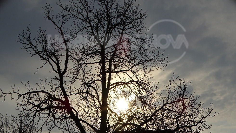 Слънчев ден!