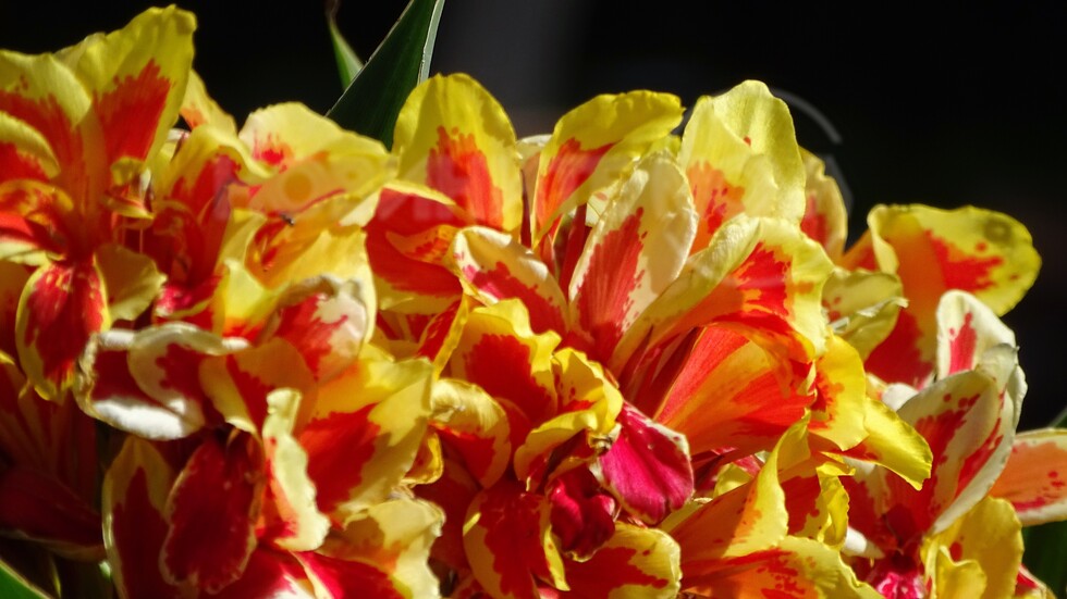 Горещите цветове на лятото!