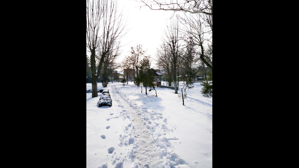 Заснежено