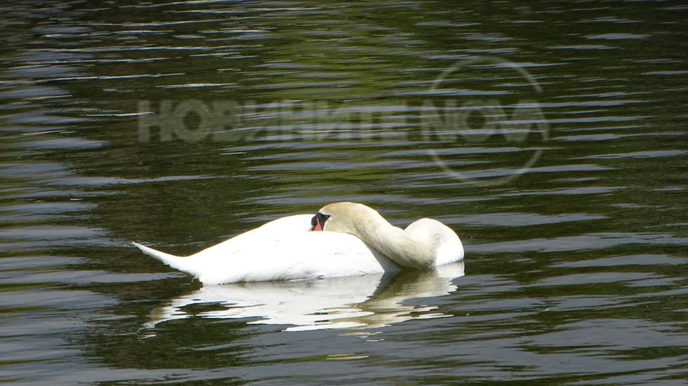 Успешна нова седмица!