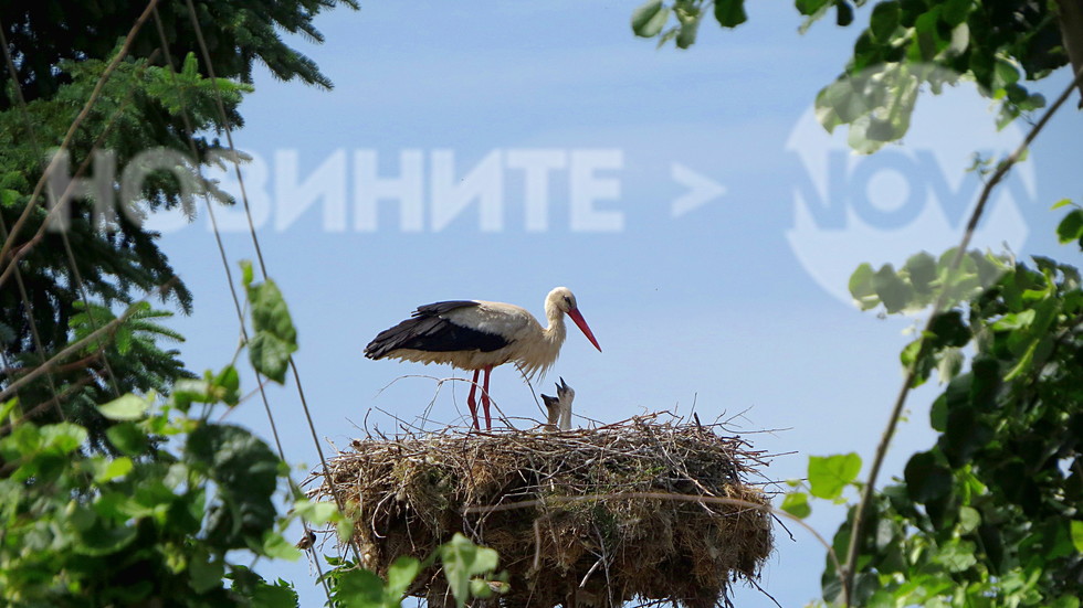 Майчини грижи - мила гледка!