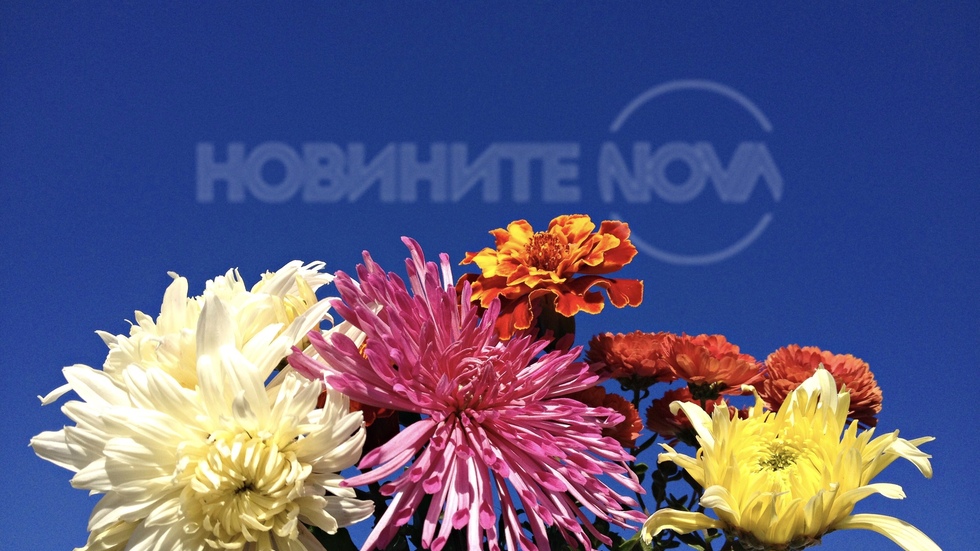 Слънчева есен с дъх на хризантеми