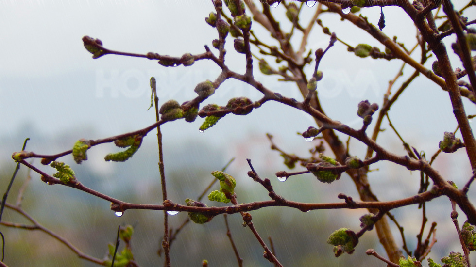 Дъждовният вторник