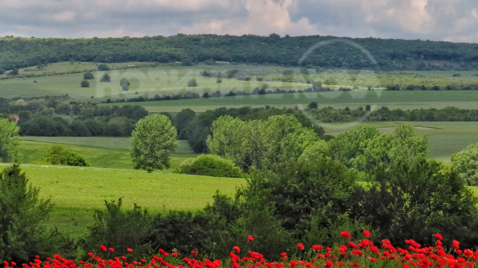 Пролетни нюанси