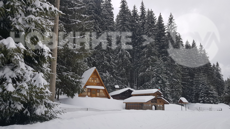 Много сняг село Буйново, област Смолян