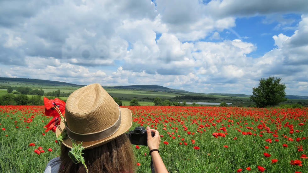 Грейнало поле край Търговище