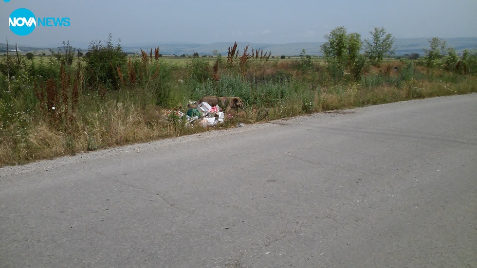 Незаконно сметище в село Петърч