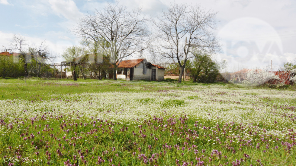 Приказна пролетна красота