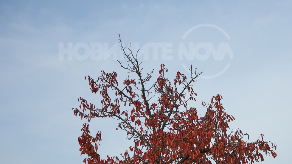 Багрите на есента в България