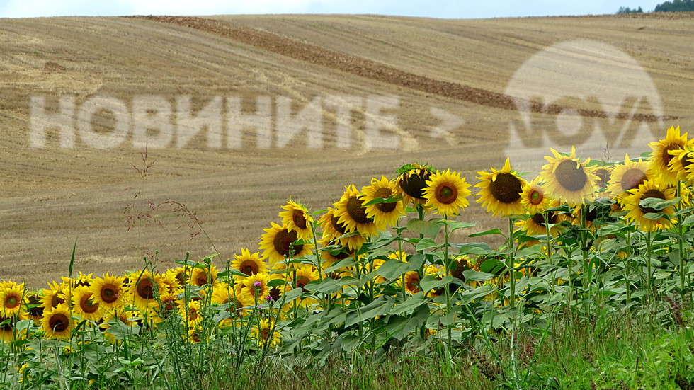 Лудогорска панорама!