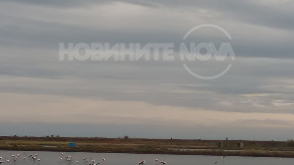 Неочаквани гости