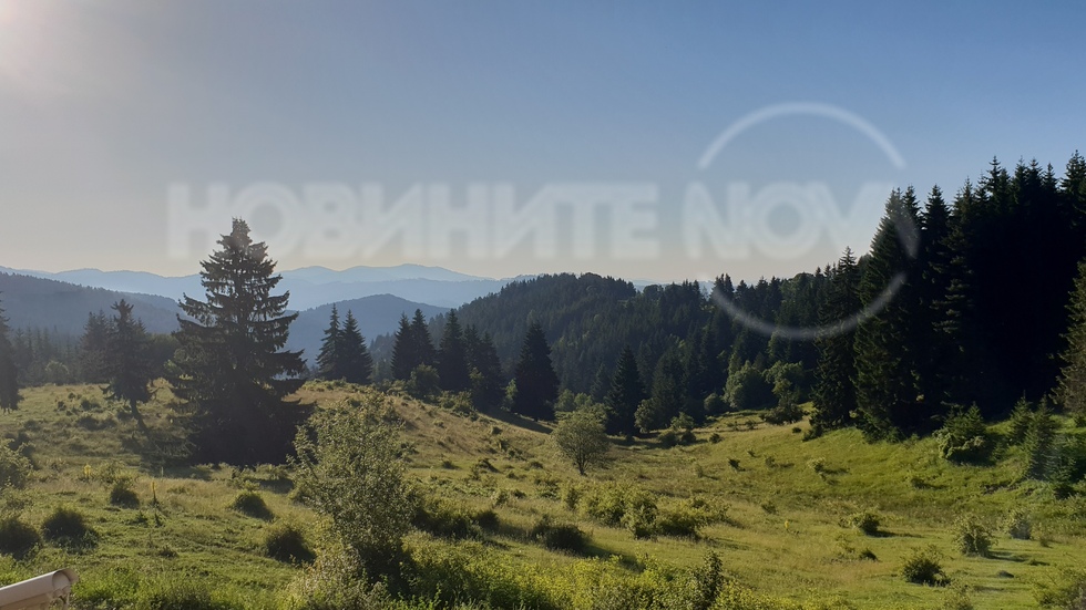 Добро утро!