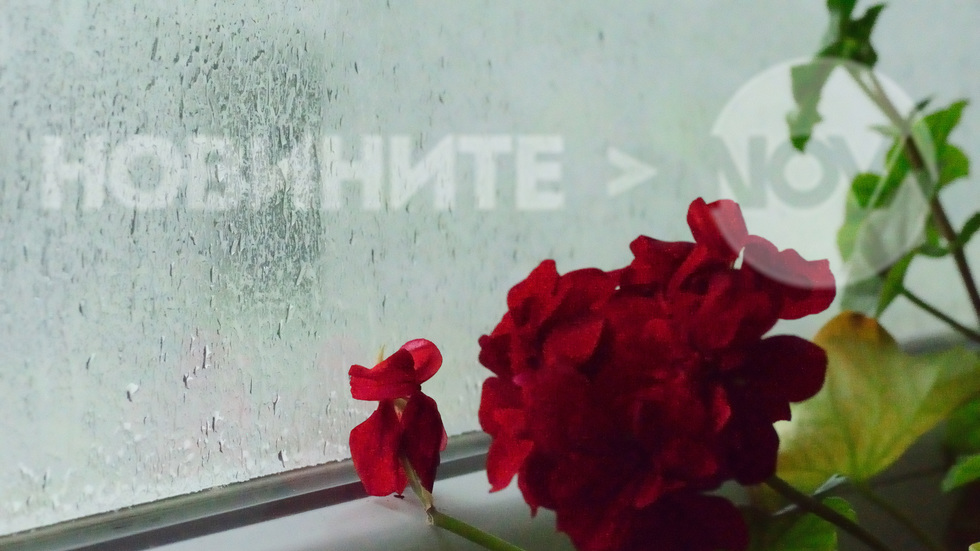 Дъждовно време