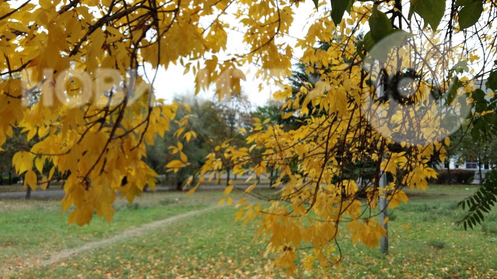 Златна Есен