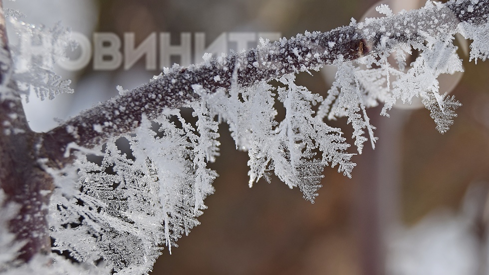 Майсторството на Снежко